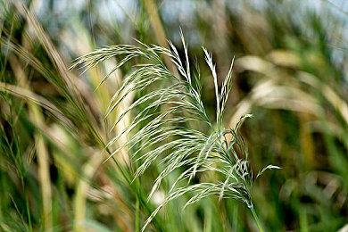 《荒野大镖客2》玩家发现配音废案 小失误花絮集锦