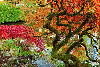 《奇异人生：双重曝光》终极版可获FF7服装包