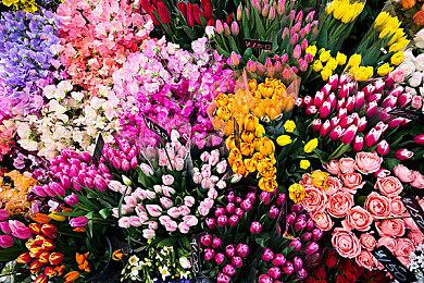 Epic喜加一：《911接线员＆911 Operator》免费领！