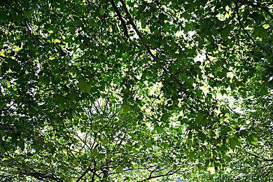 2023年的PC游戏怎么了？翻车大作太多了